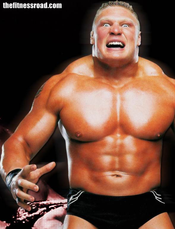 Brock Game System Apk Wallpaper New Triple H Vs
