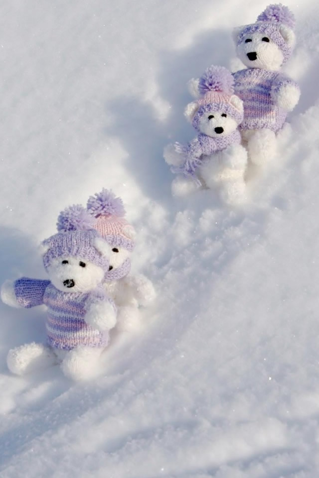 Bears Winter Break iPhone 4s Wallpaper Download iPhone Wallpapers 640x960