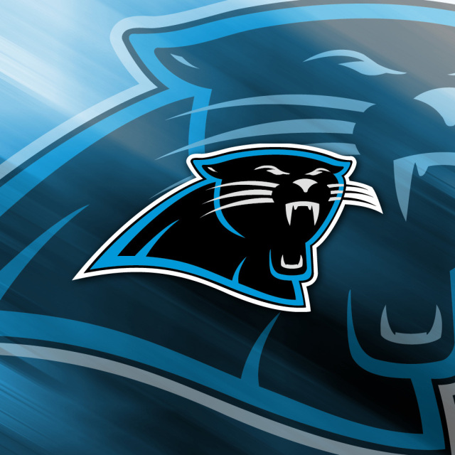 Carolina Panthers Team Logo iPad Wallpaper Steel