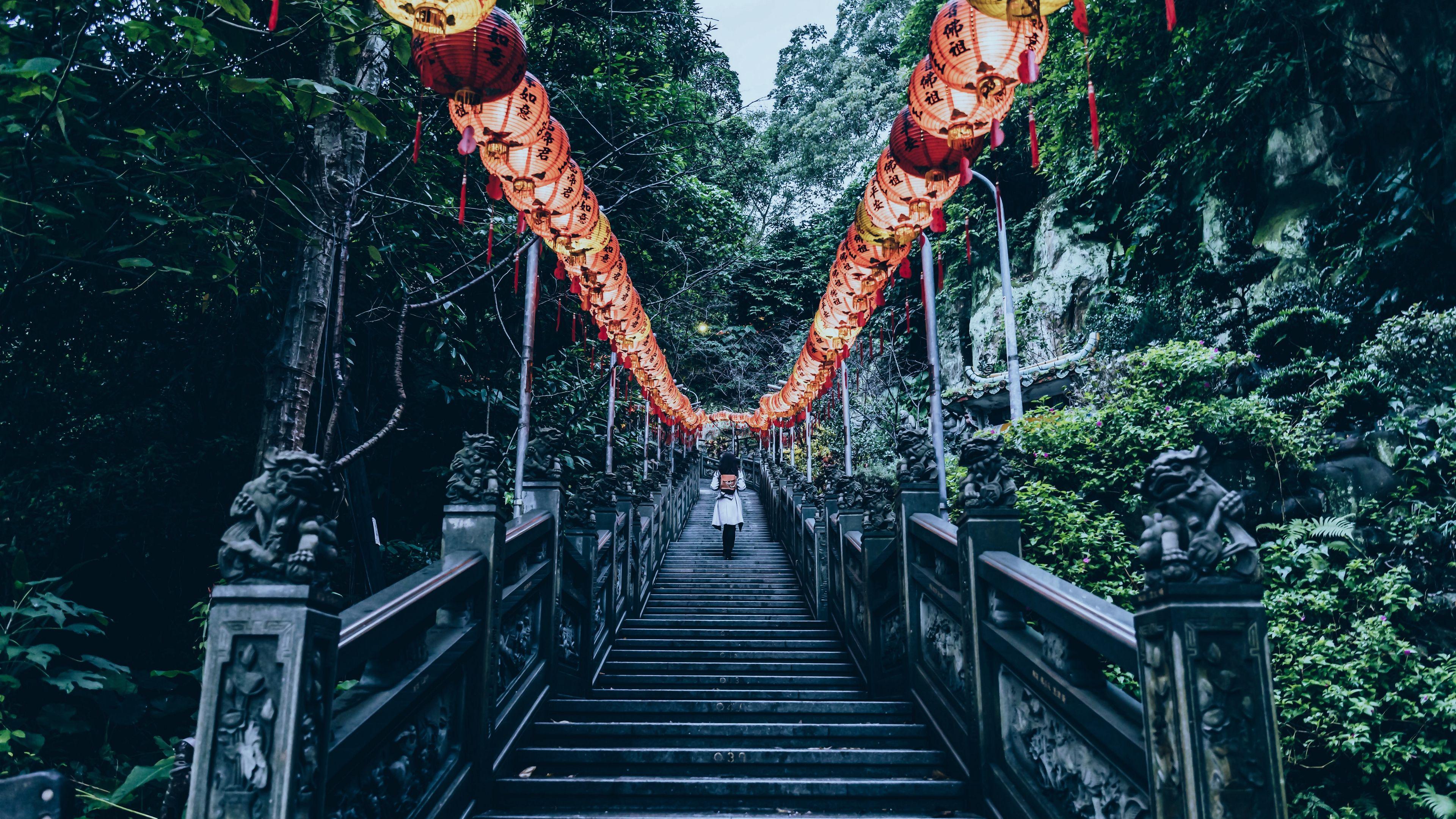 Stairs Chinese Lanterns Climb Trees 4k