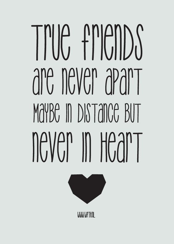 Friendship Quotes Quotations And