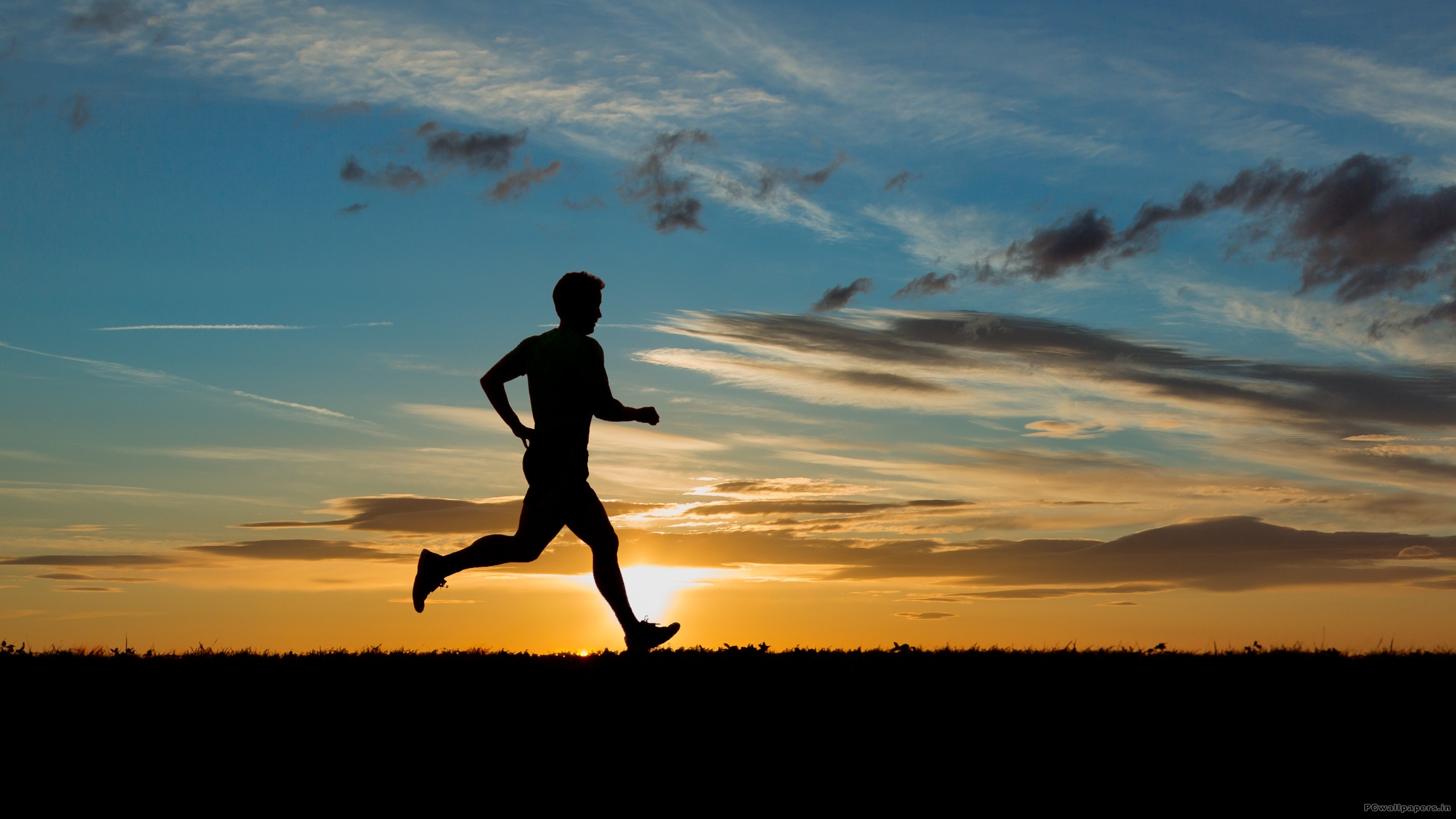 Marathon Training Begins Lifedometer