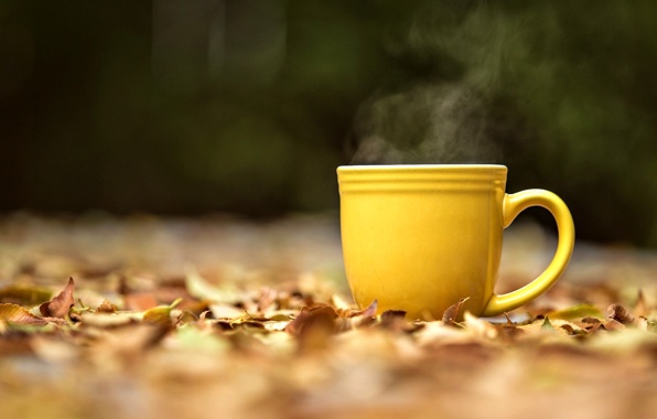 Yellow Steam Hot Tea Leaves Wallpaper Mood
