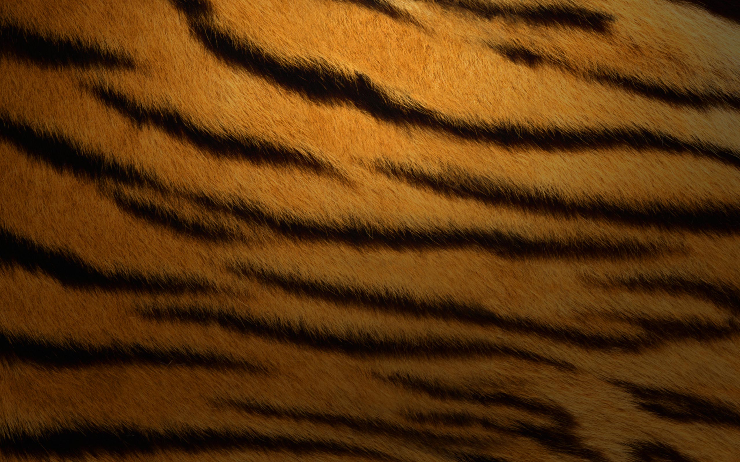 Tiger Fur Stripes Wallpaper