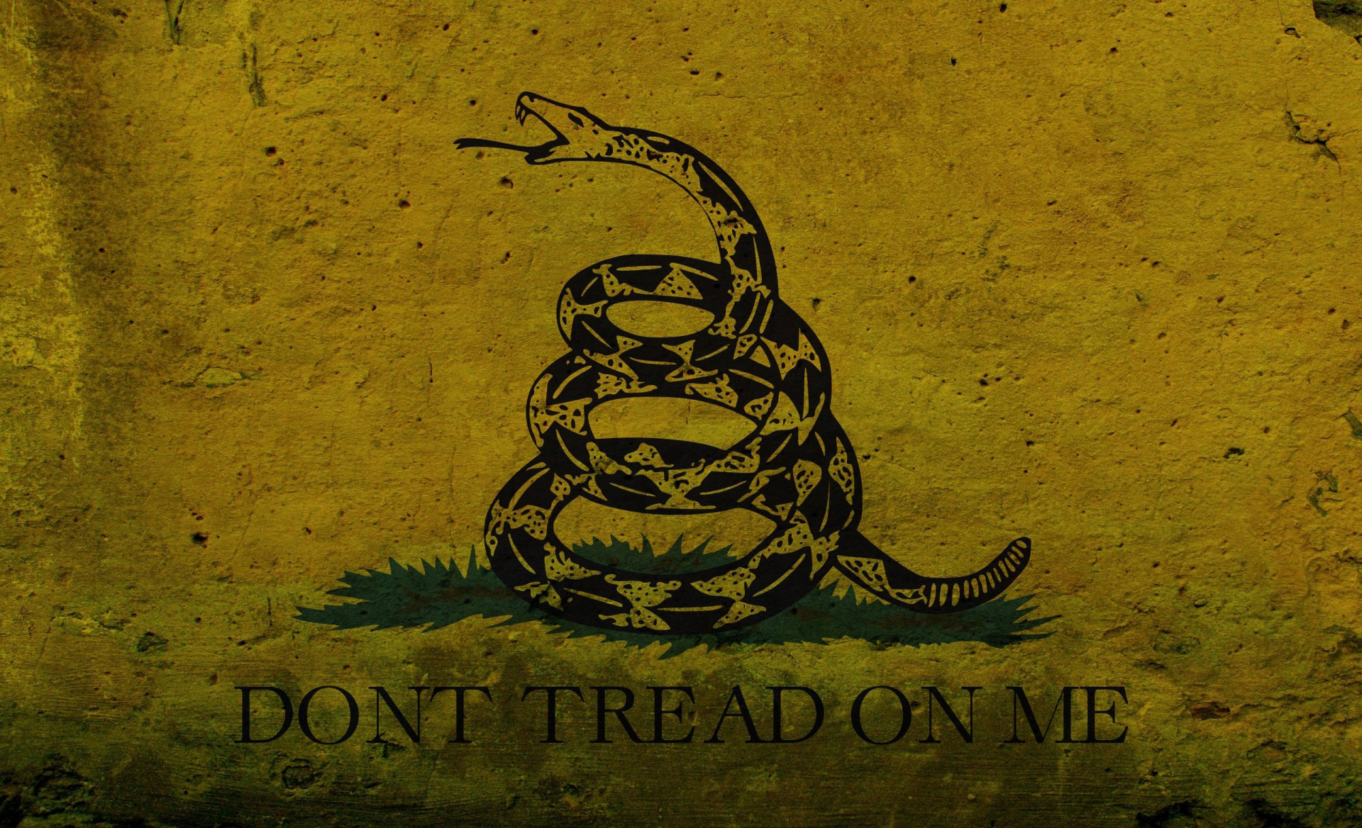 1920x1168 Dont Tread On Me Wallpapers.