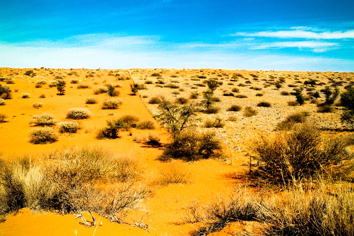Kalahari Desert Chainimage