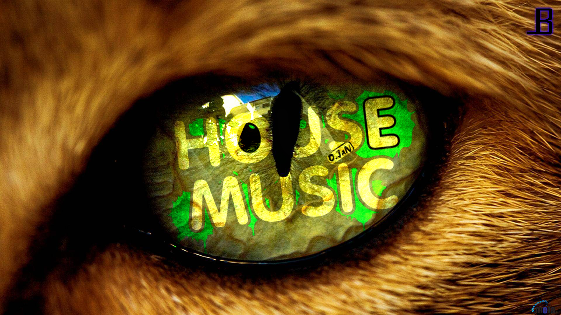 House Music Wallpaper HD By Leadbeats