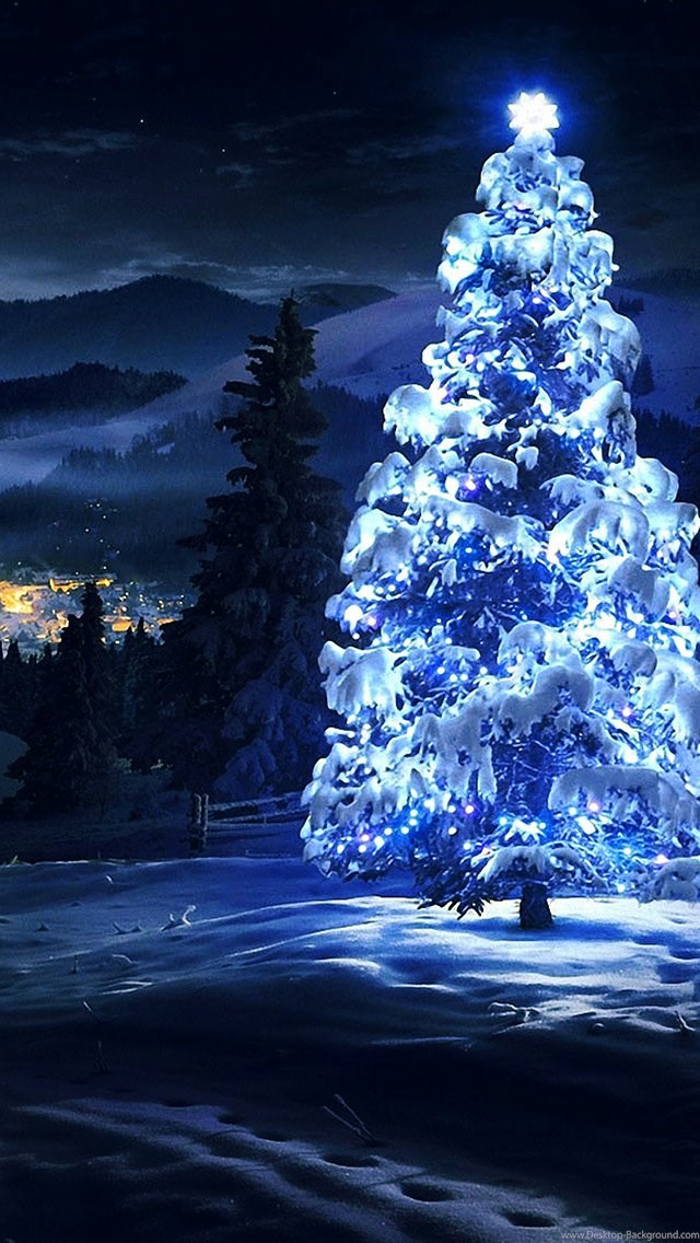 White Christmas Tree Light iPhone 5s Wallpaper Snow