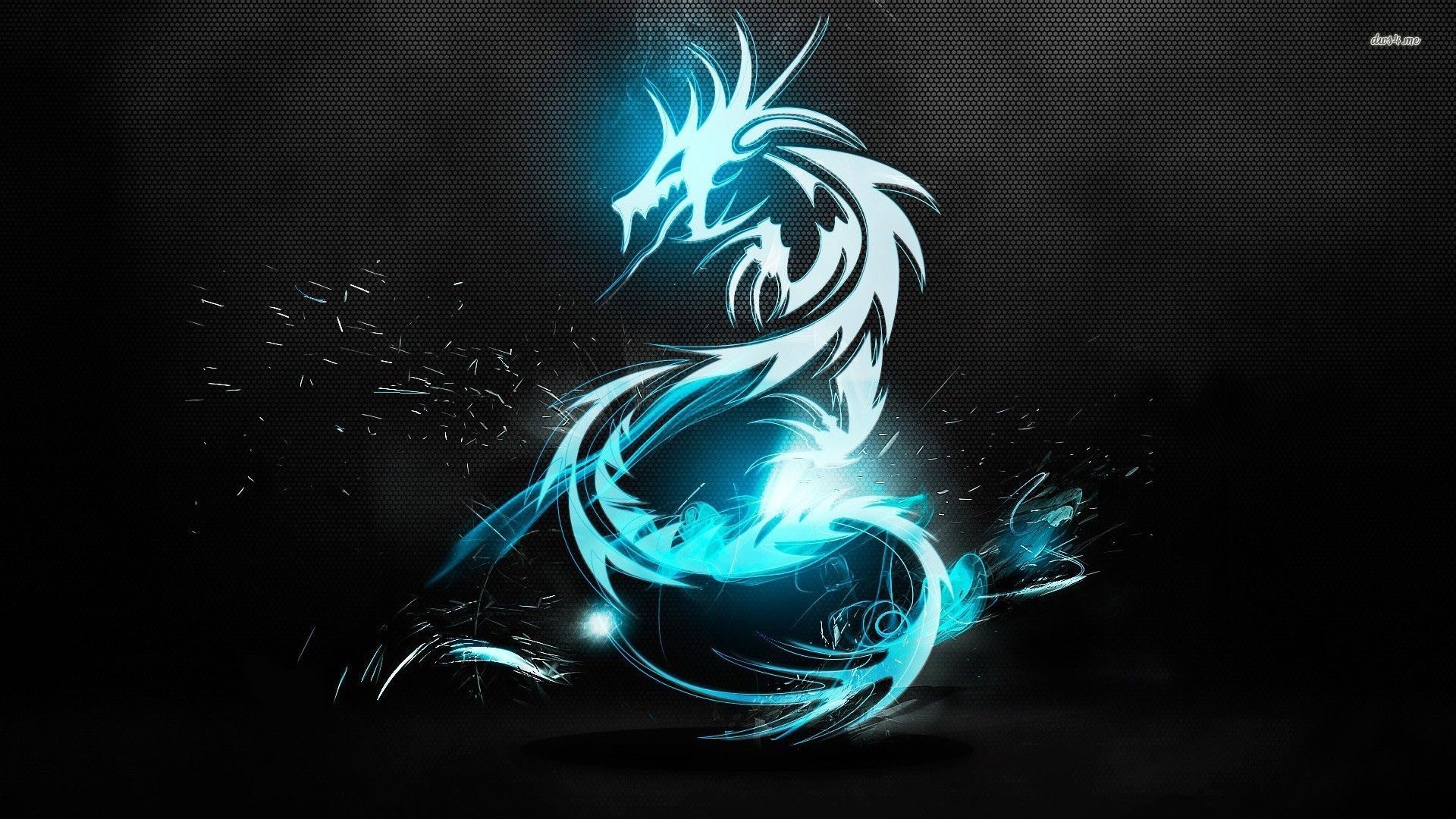 Fire Dragon HD Wallpaper