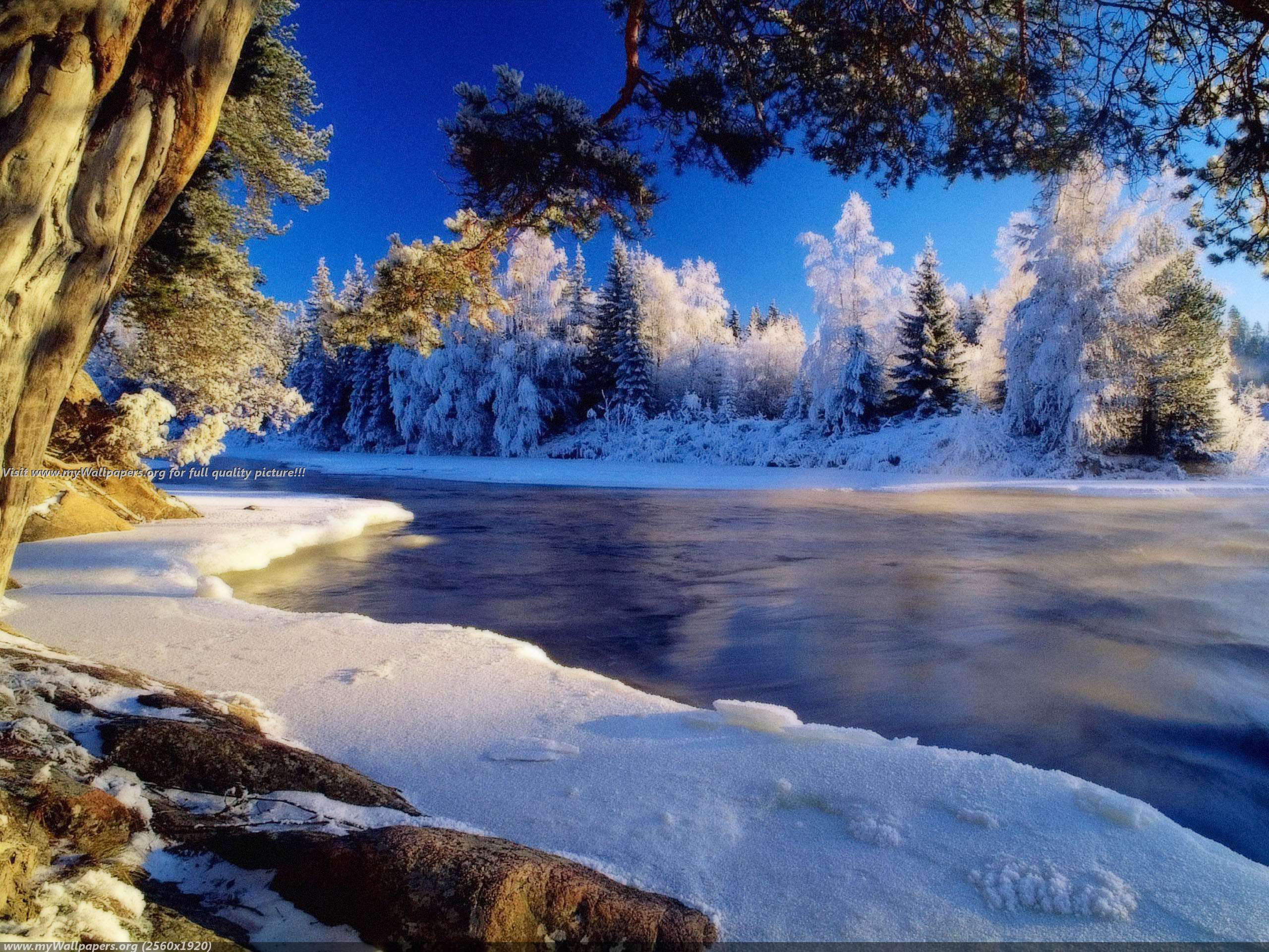 Wallpaper Winter Nature Add To