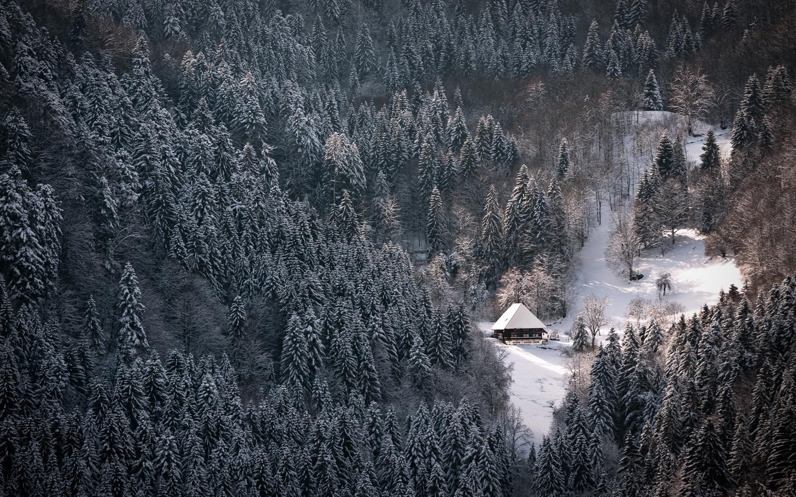 Black Forest Schwarzwald Snowy Winter Wallpaper All Size