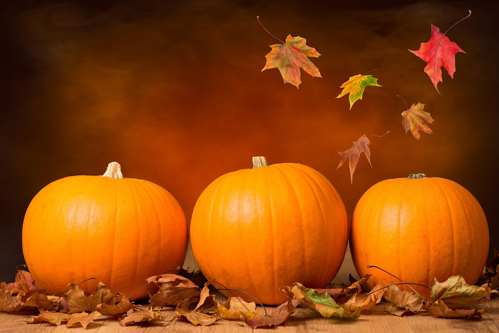  Free Download Autumn Pumpkin Wallpaper Widescreen Image Amp Pictures 