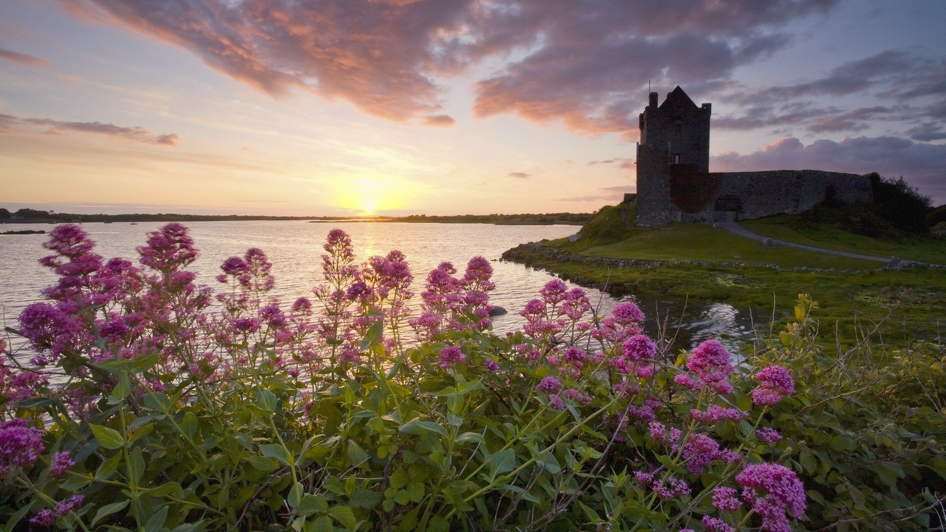 Sunset Castles Flowers Ireland Lakes Castle Wallpaper