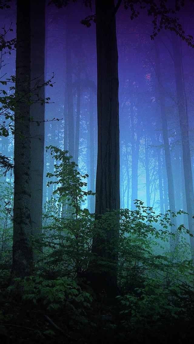 Ed51f3e19277b1cec01c9925a55478e6 iPhone Wallpaper