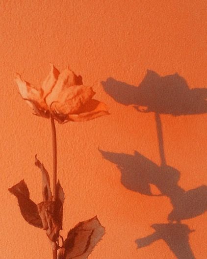 Anna Sheffield Fine Jewelry On V Is For Vermilion Wallpaper