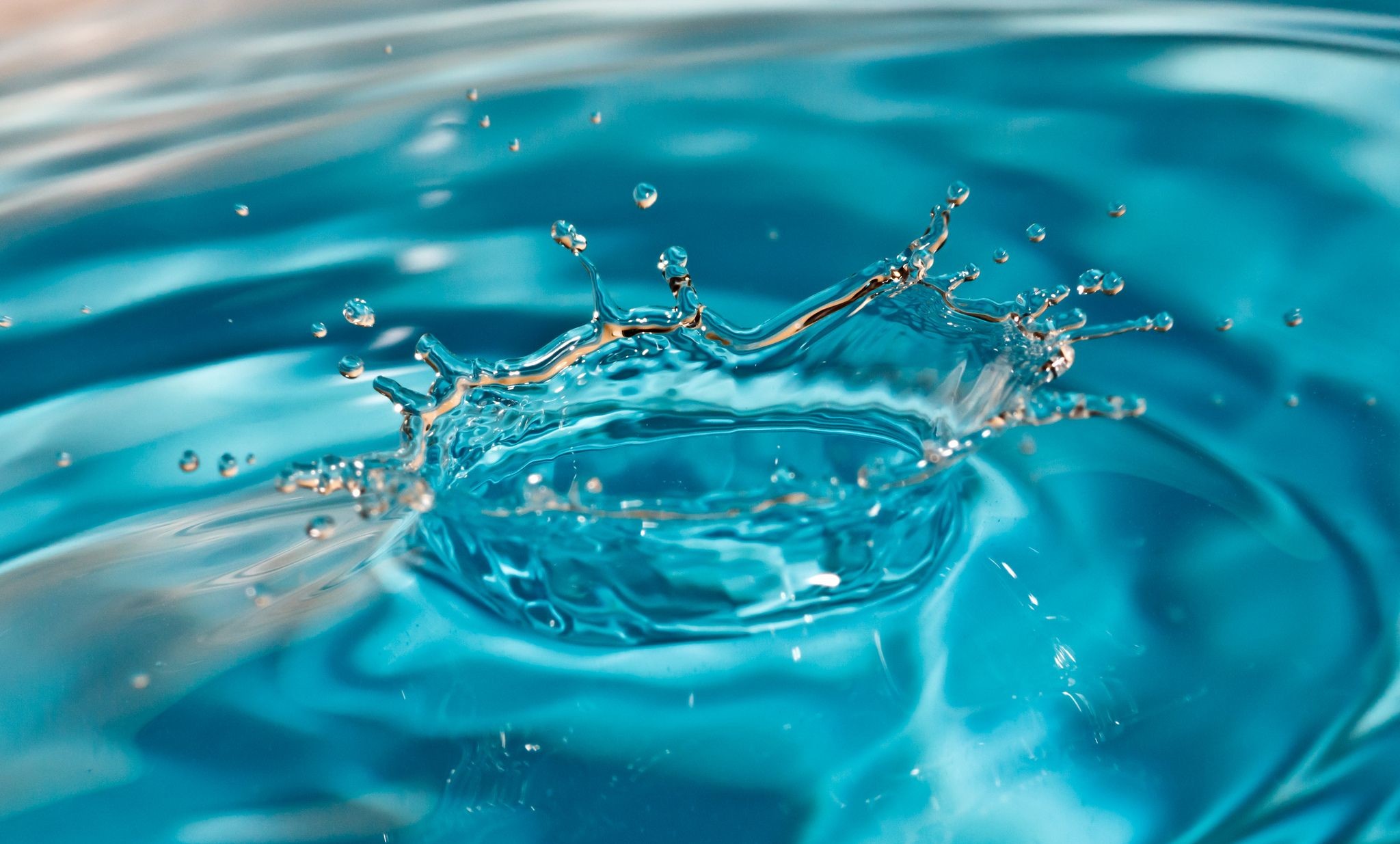 Water Droplets Wallpaper