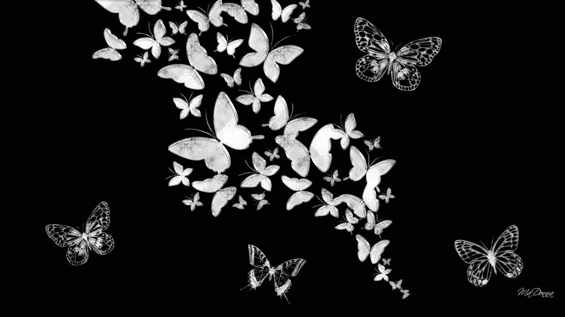 Butterfly Aesthetic Wallpaper
