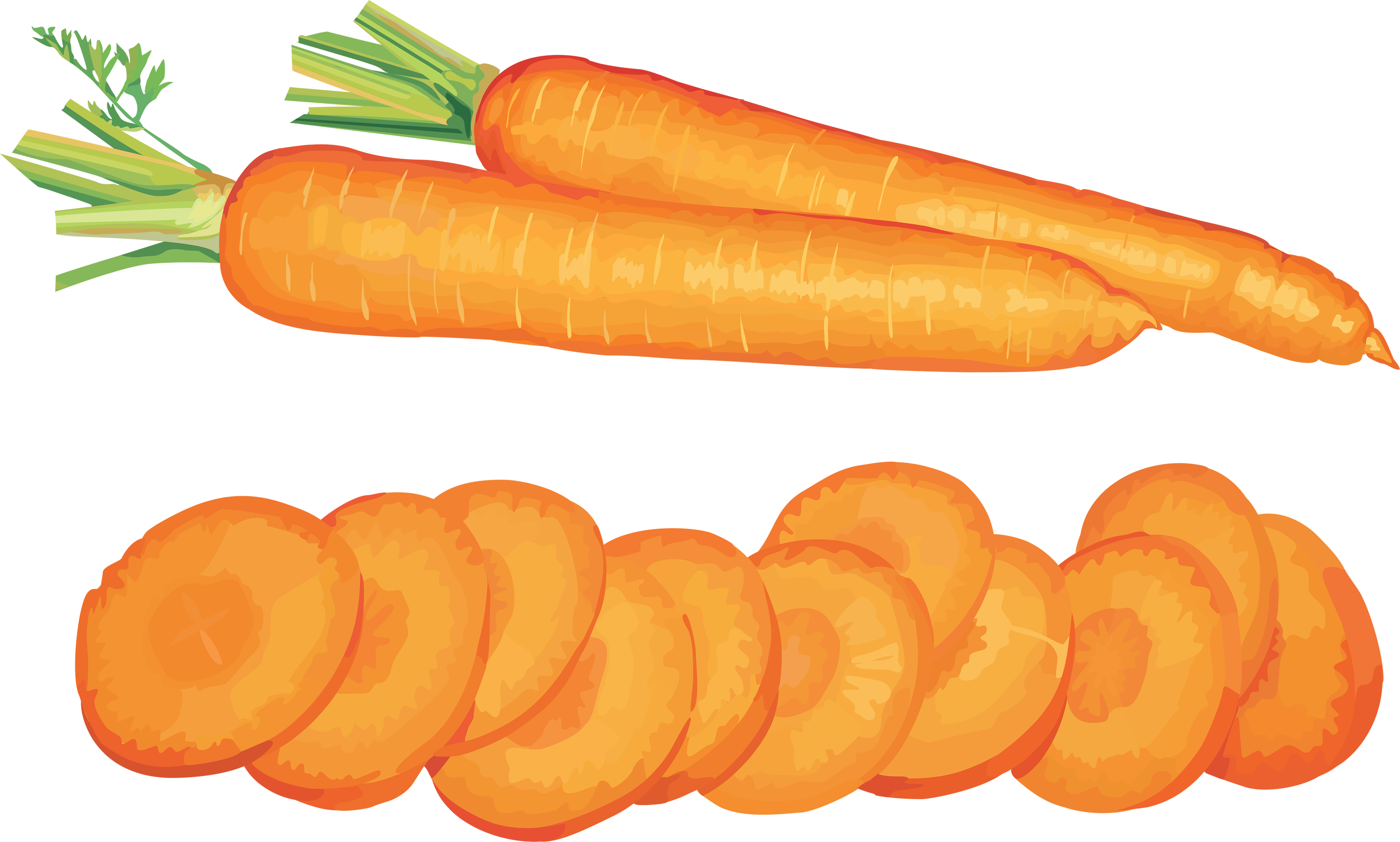 Carrot Png Image Carrots Pictures