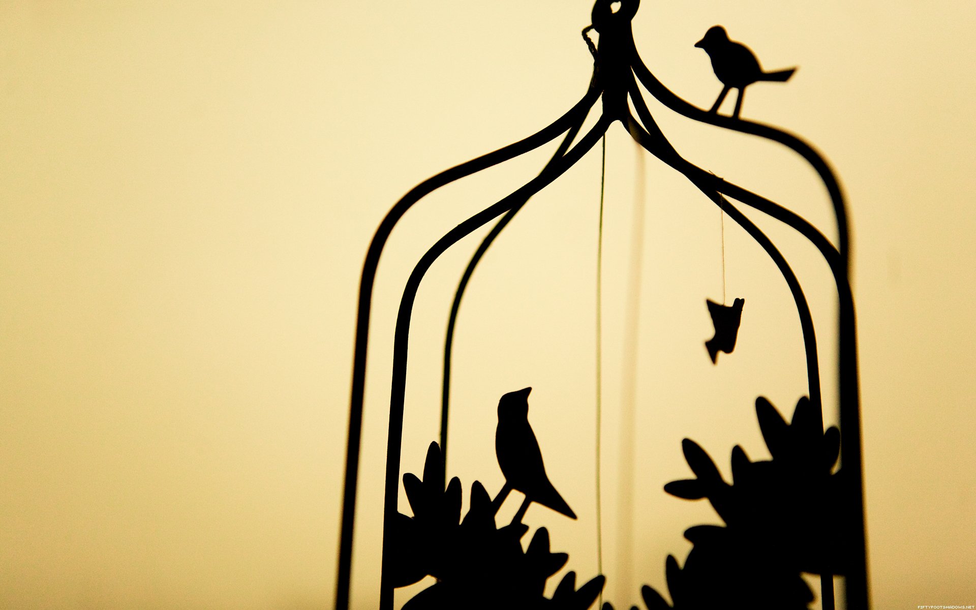 Birds Silhouettes Cage Simple Background Wallpaper HD