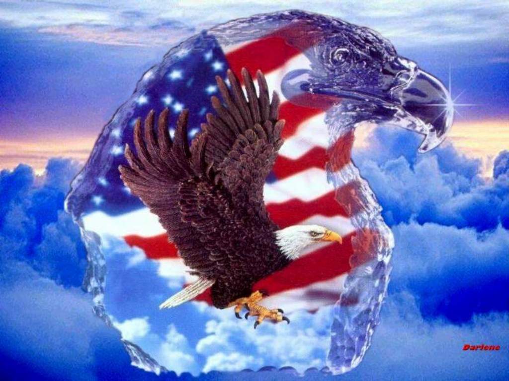 Celebration of America in Pictures of Bald Eagles The United