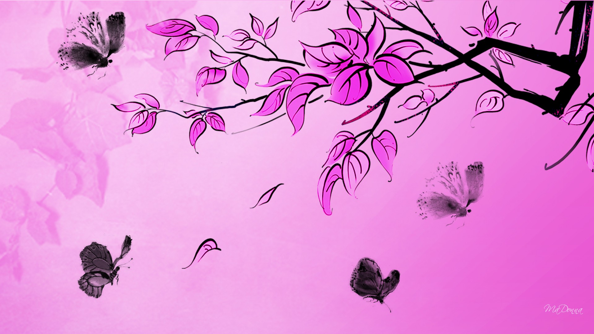 Pink with Black Butterflies wallpaper   ForWallpapercom