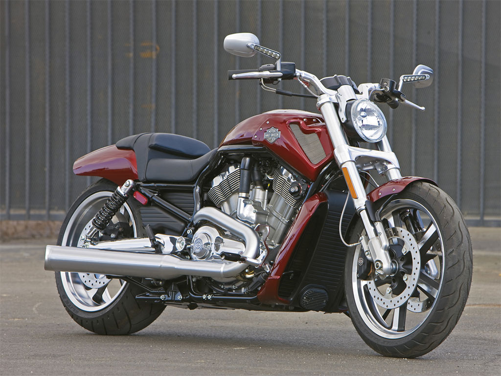 Harley Davidson Vrscf V Rod Muscle X