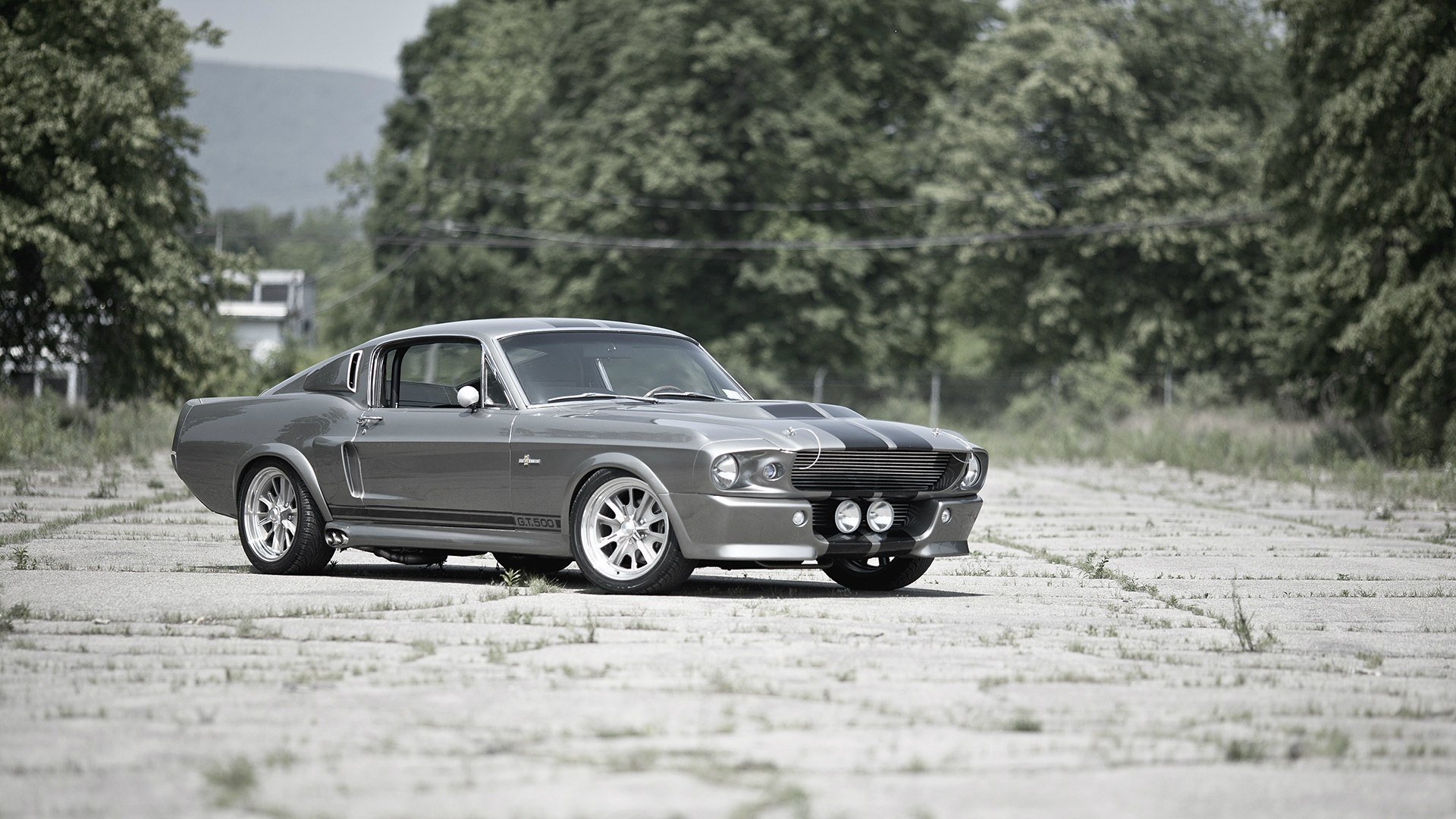 Ford Mustang Shelby Gt500 Fastback Eleanor Puter Wallpaper