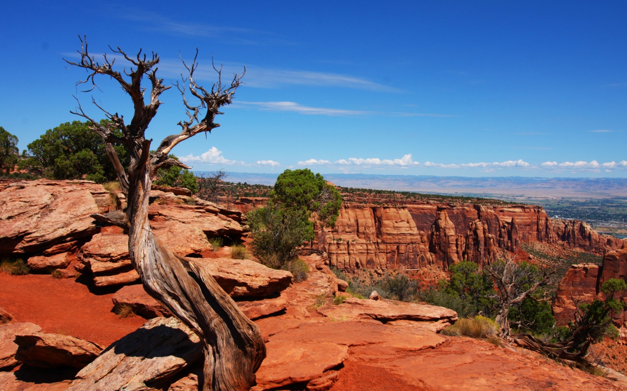 The American West Wallpaper