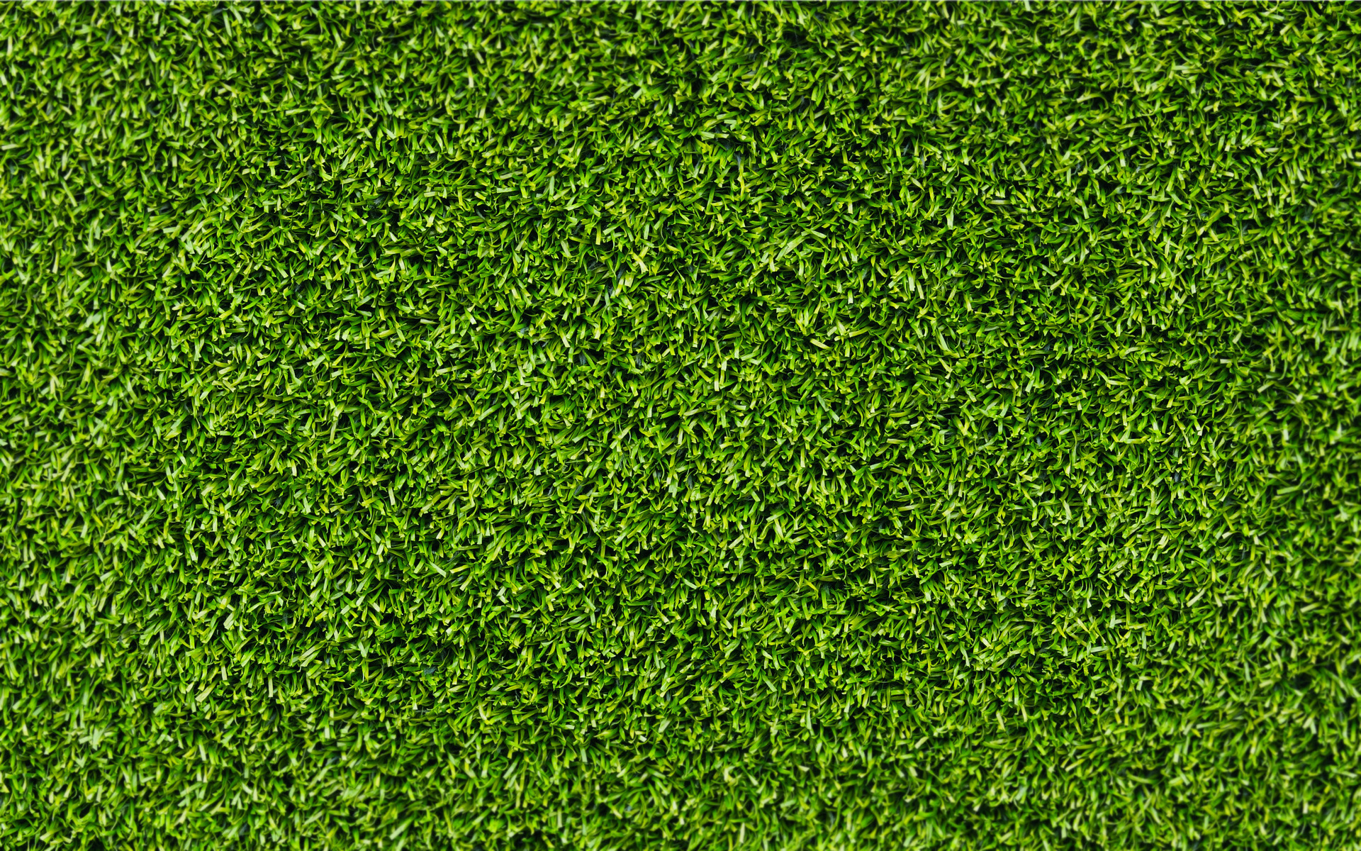 Wallpaper Background Grass Green Texture Desktop