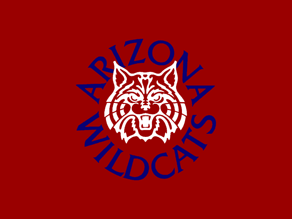 Arizona Wildcats 1024x768