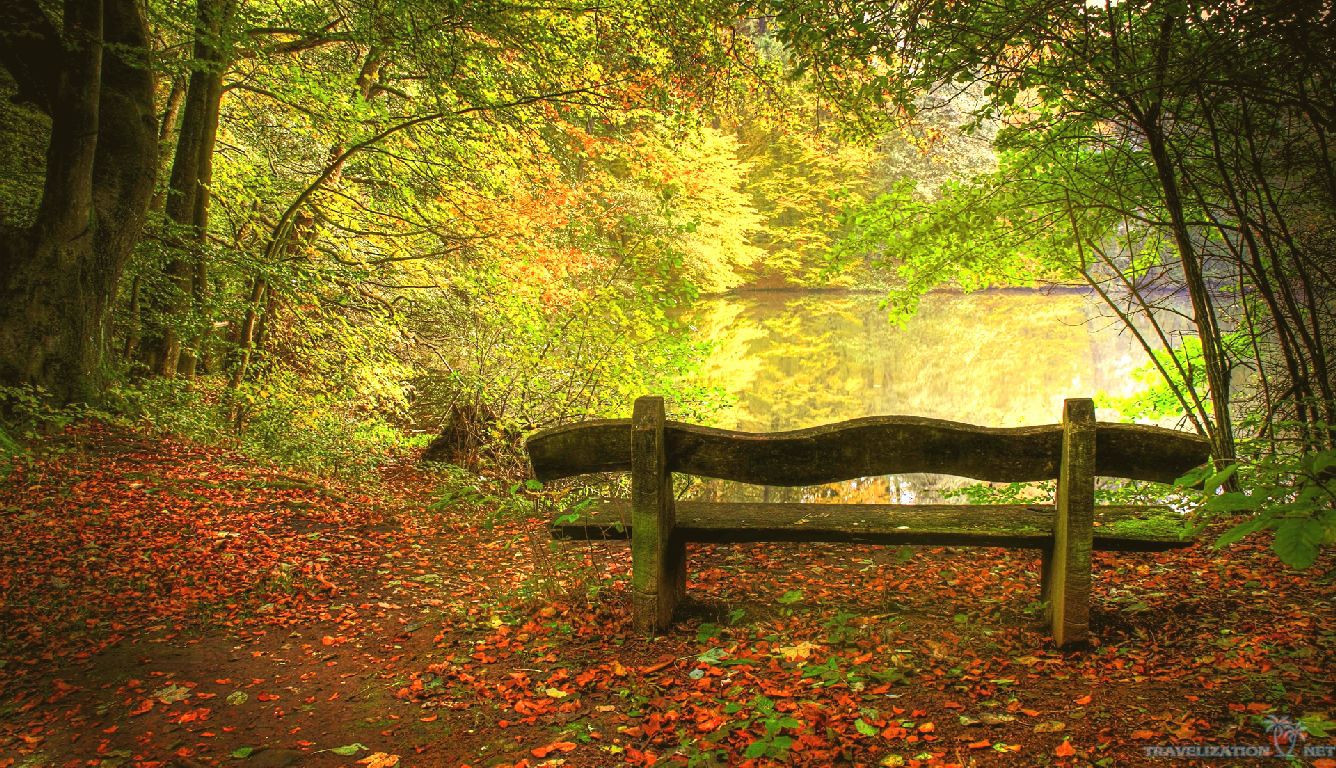 Bench Autumn Season Wallpaper IwallHD HD