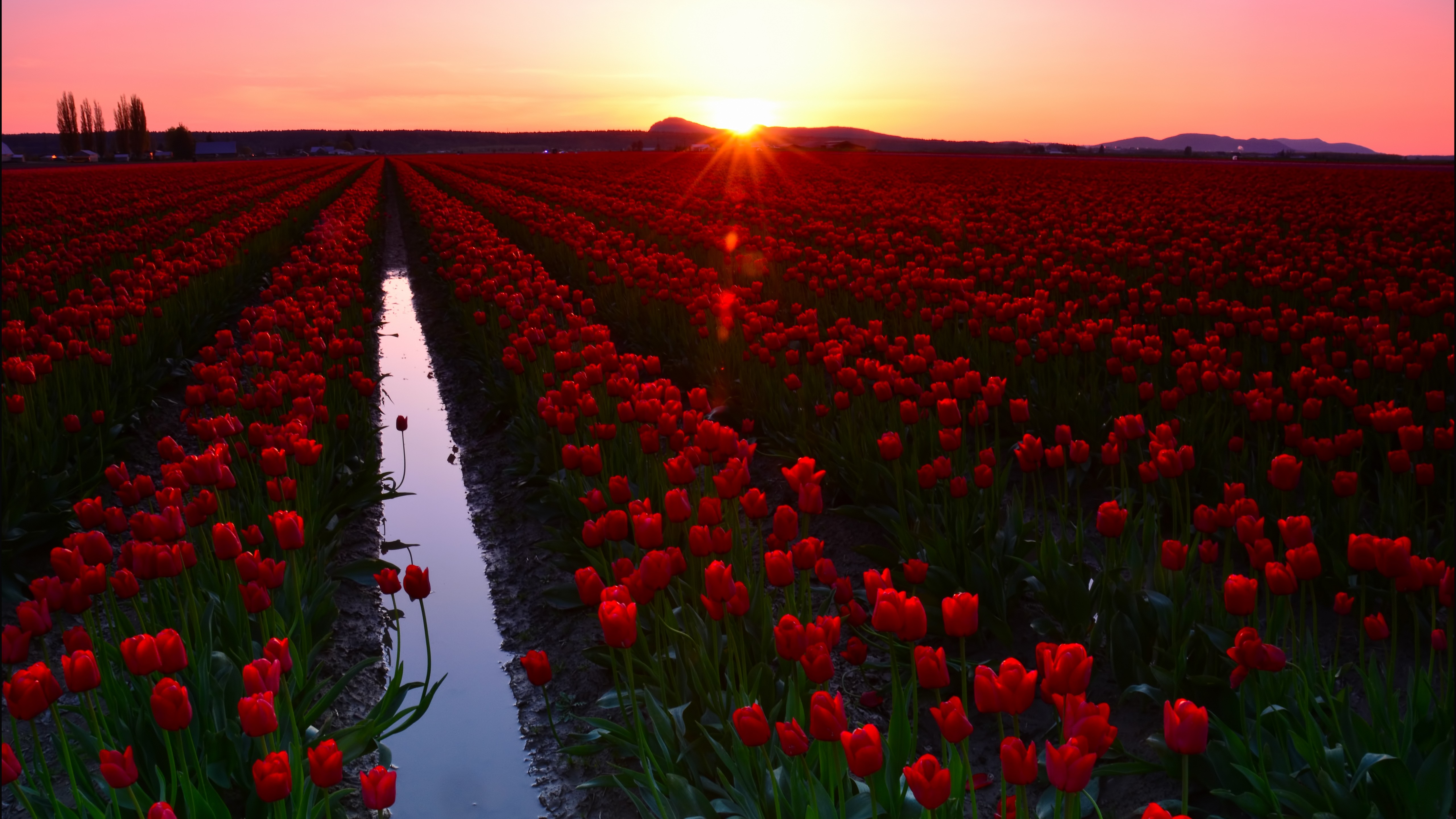 Wallpaper Skagit Valley 4k 5k 8k Washington Usa