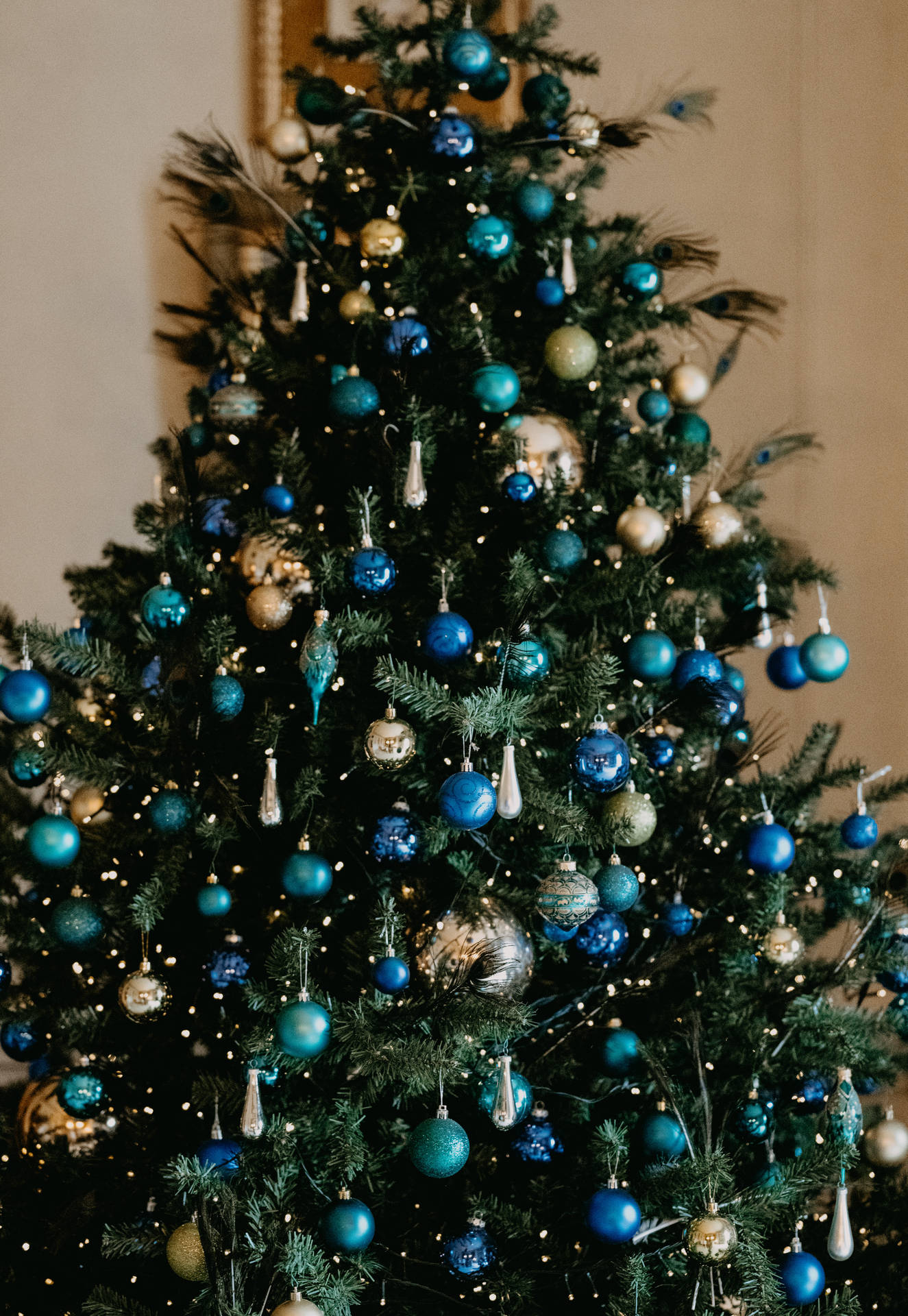 Australian Christmas Blue Tree S36mnk5rrrjohw9p Wallpaper