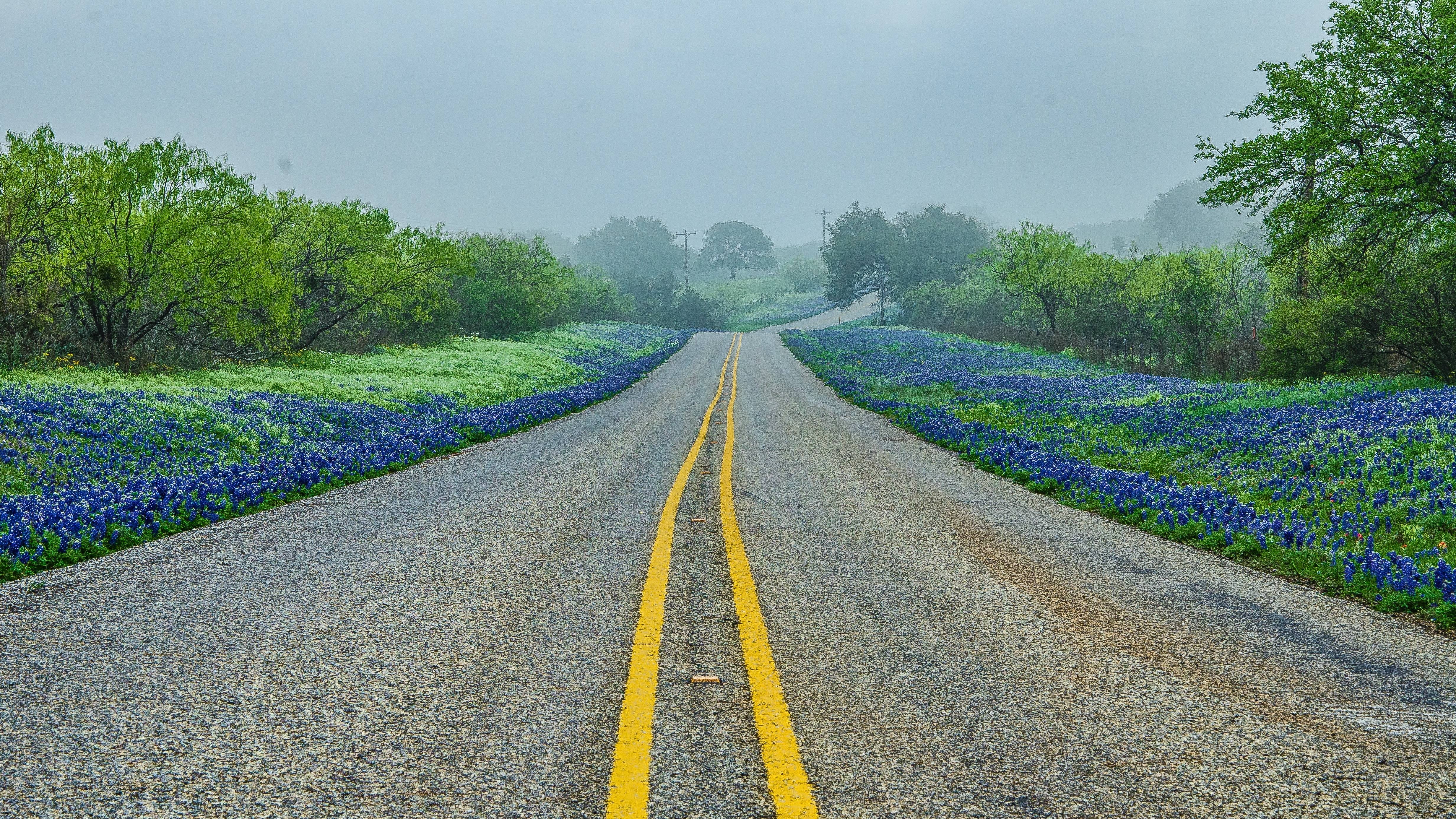 Texas Hill Road Trees Fog Landscape Wallpaper Background