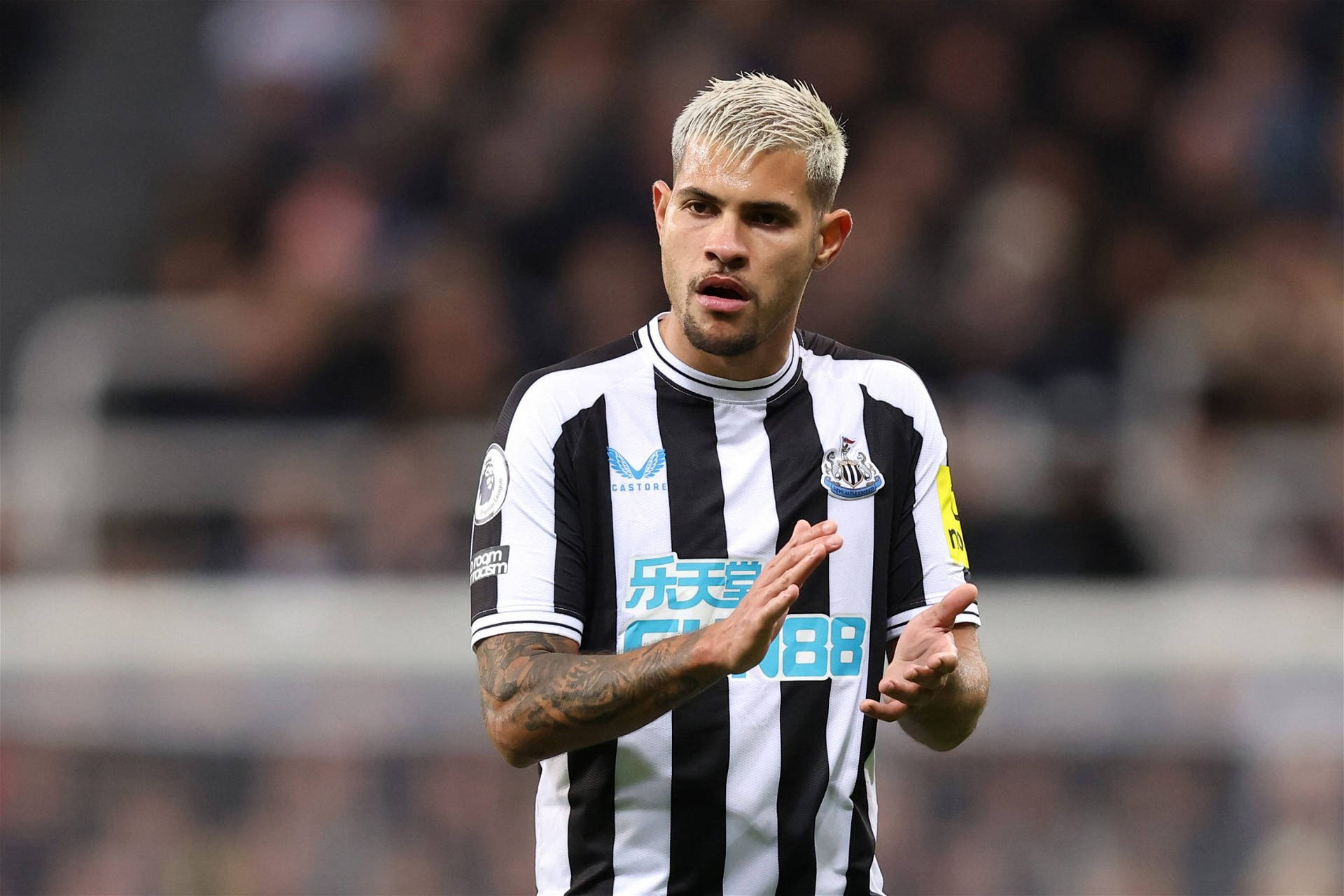 Newcastle United Fc Wallpaper