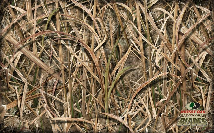 New Mossy Oak Shadow Grass Blades Camo Wallpaper 1440x900   For