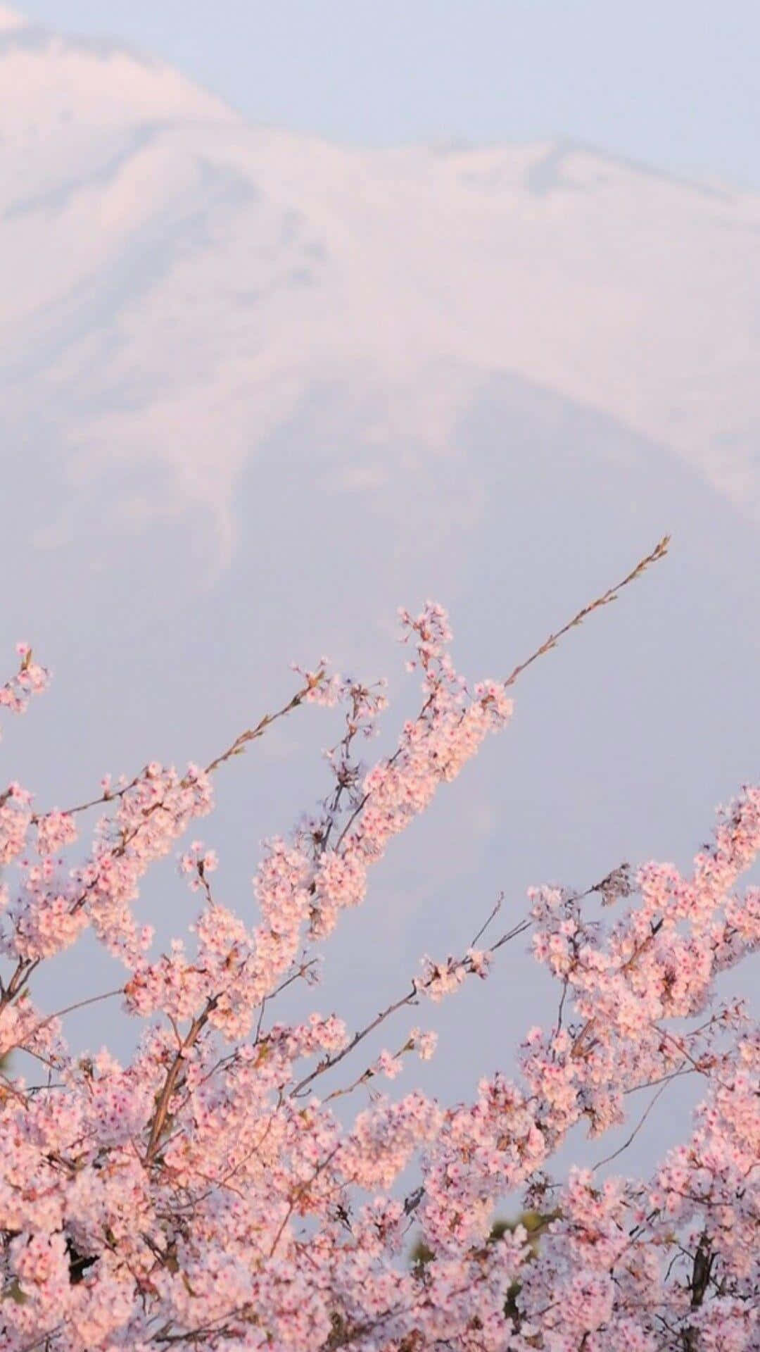 Japanese Pink Wallpaper