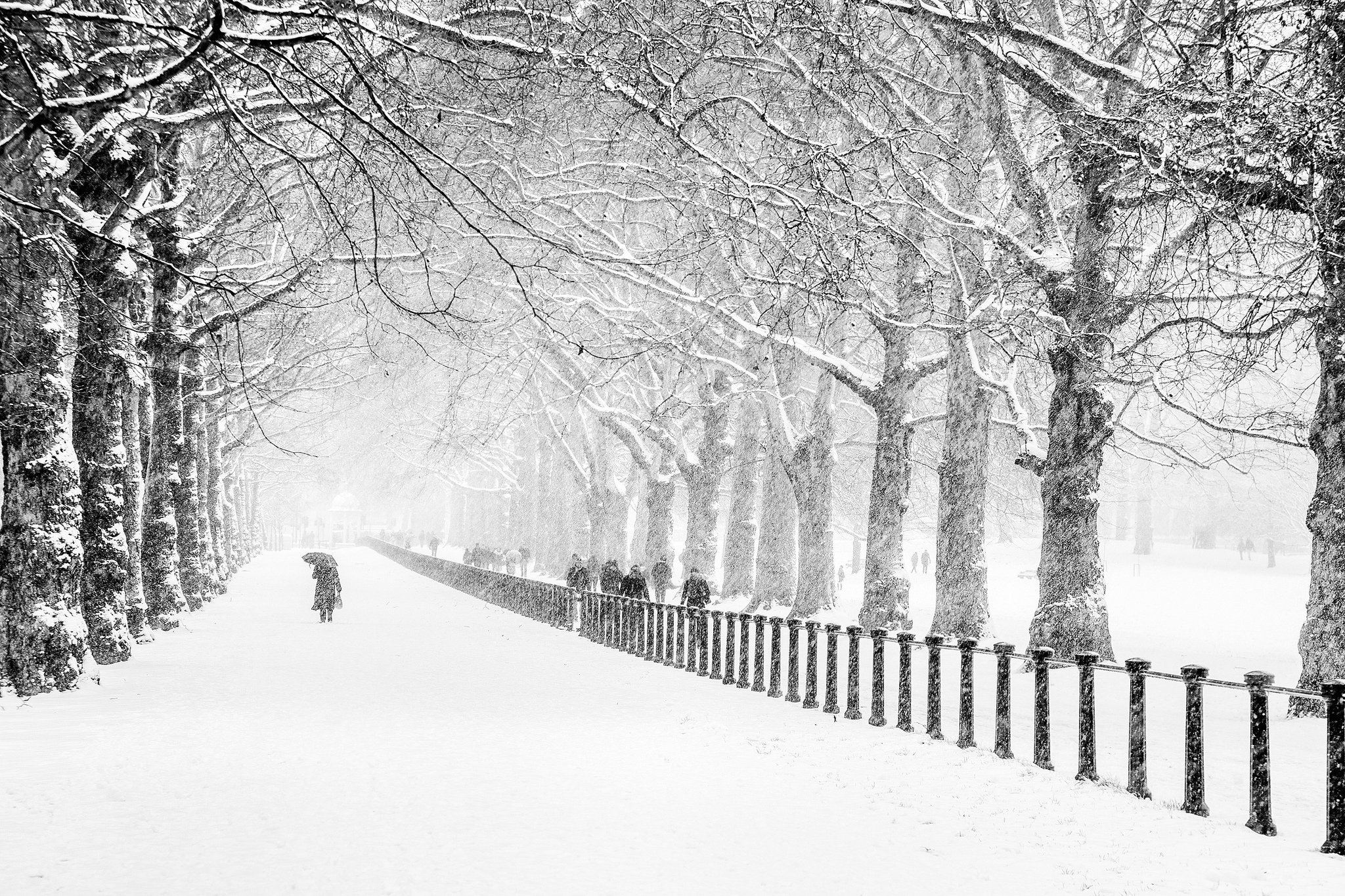 winter snow people park city London road trees wallpaper background