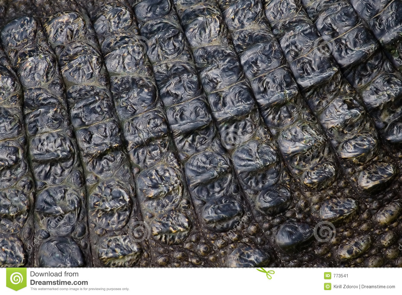 Crocodile Skin Wallpaper