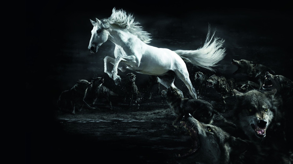 White Horse Wolf Wallpaper HD 3d Abstract