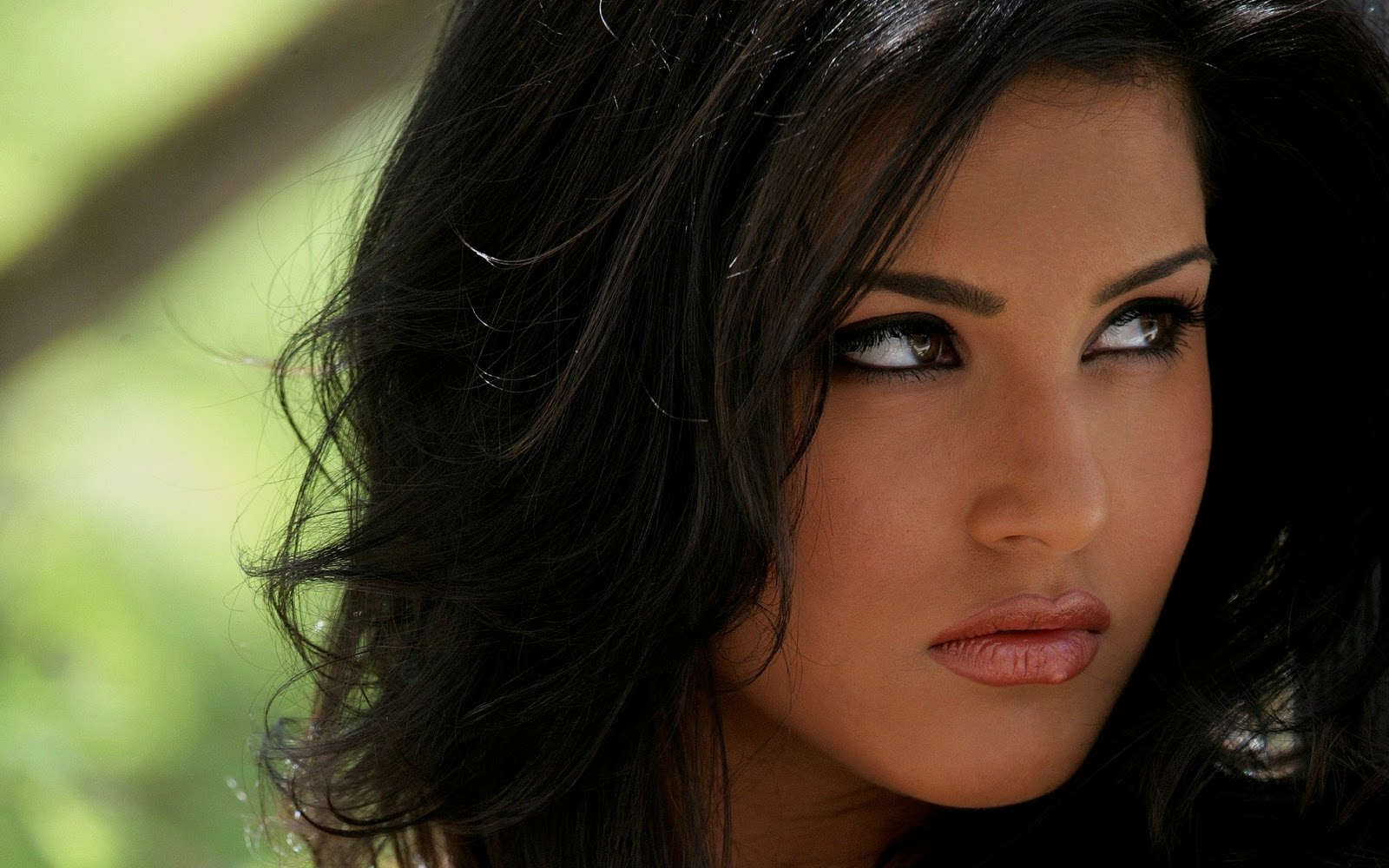 Free Download Sunny Leone Latest Hd Wallpapers Sunny Leone Latest Wallpapers 2012 1600x1000 