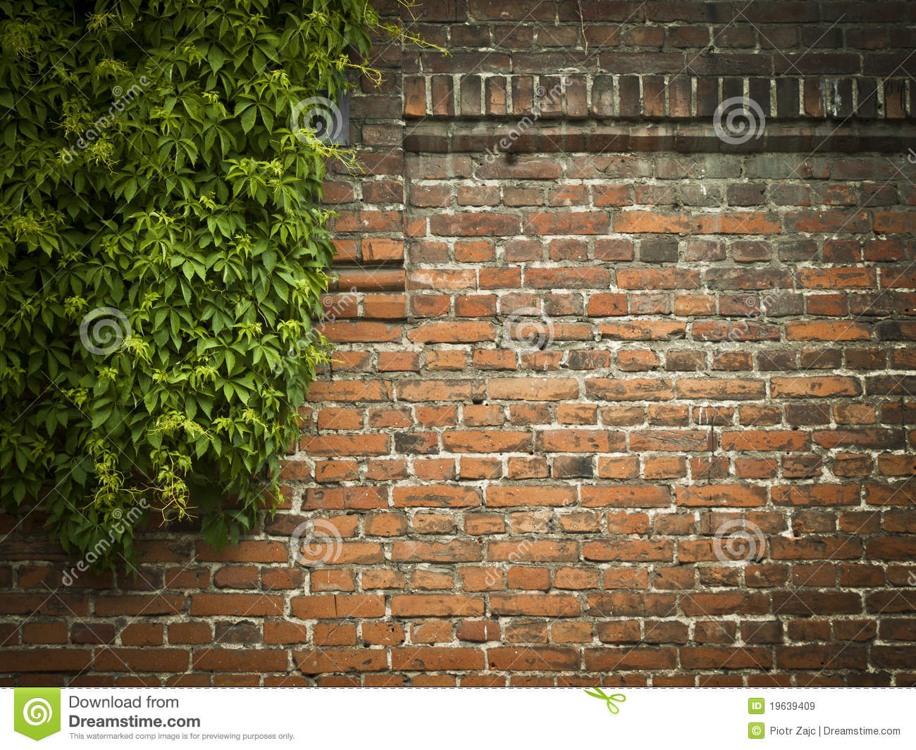 Red Brick Wall Background With Green Ivy