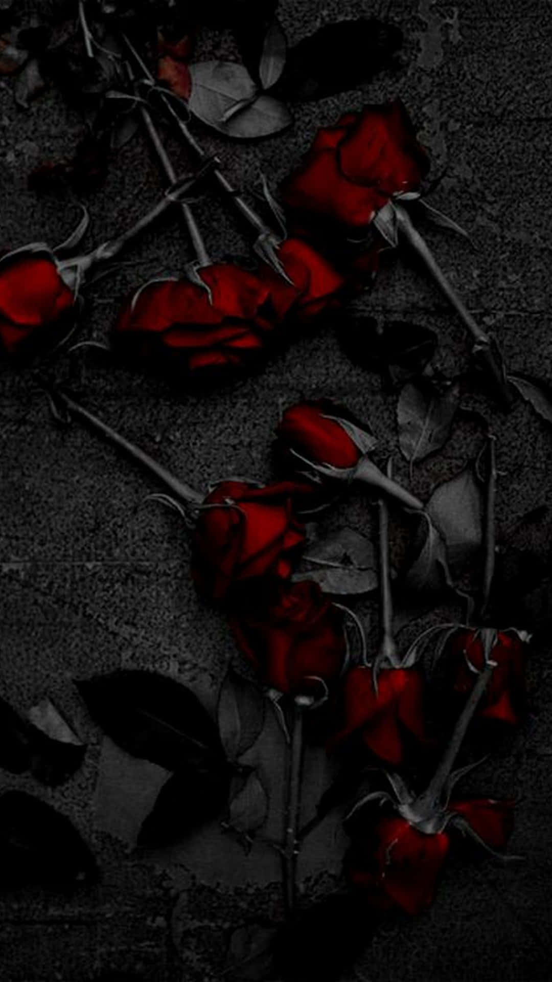 🔥 Free Download Dark Red Aesthetic Deep Roses Wallpaper by @saraj96 ...