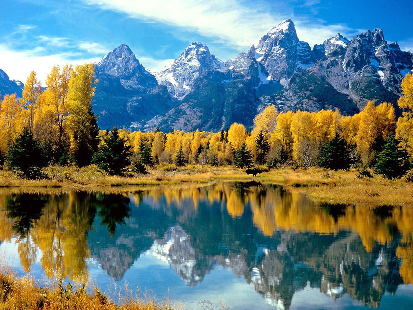 Tag Grand Teton National Park Wallpapers Backgrounds Photos Images