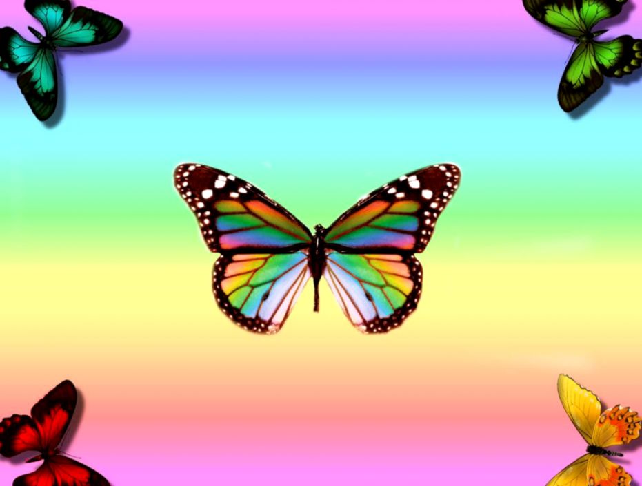 Rainbow Butterfly Wallpaper Supreme