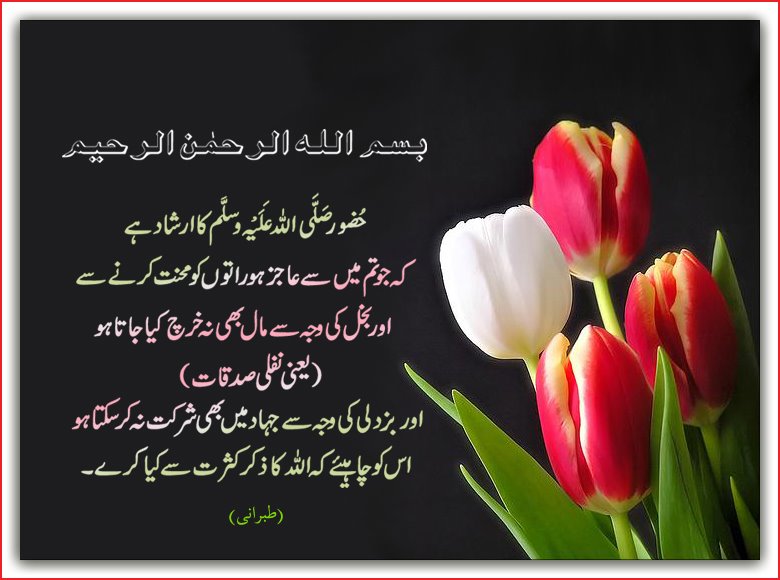 Daily Message of the Day | Daily Hadees of the Day | Morning Assembly  Quotes | Positive Message No-8 - YouTube
