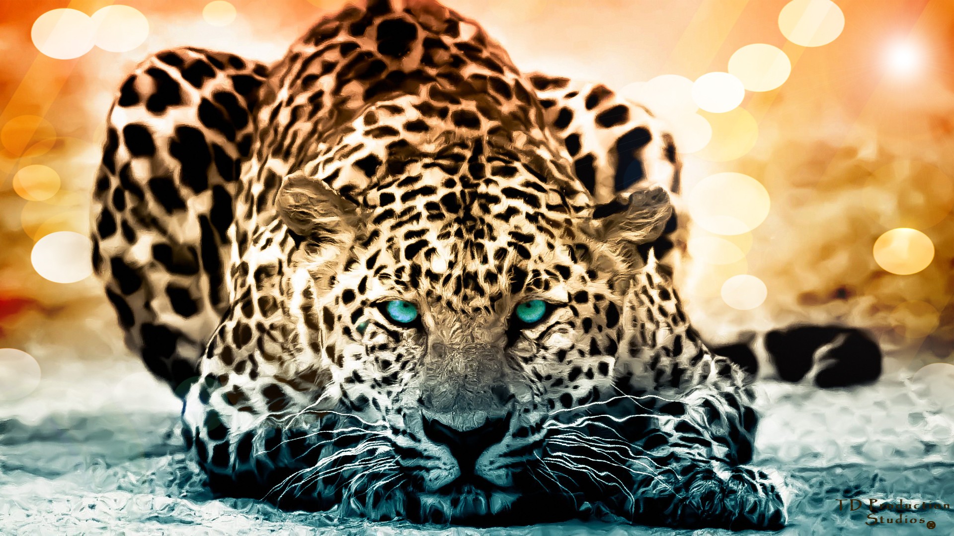 Leopardo Full HD Fondo De Pantalla And Escritorio