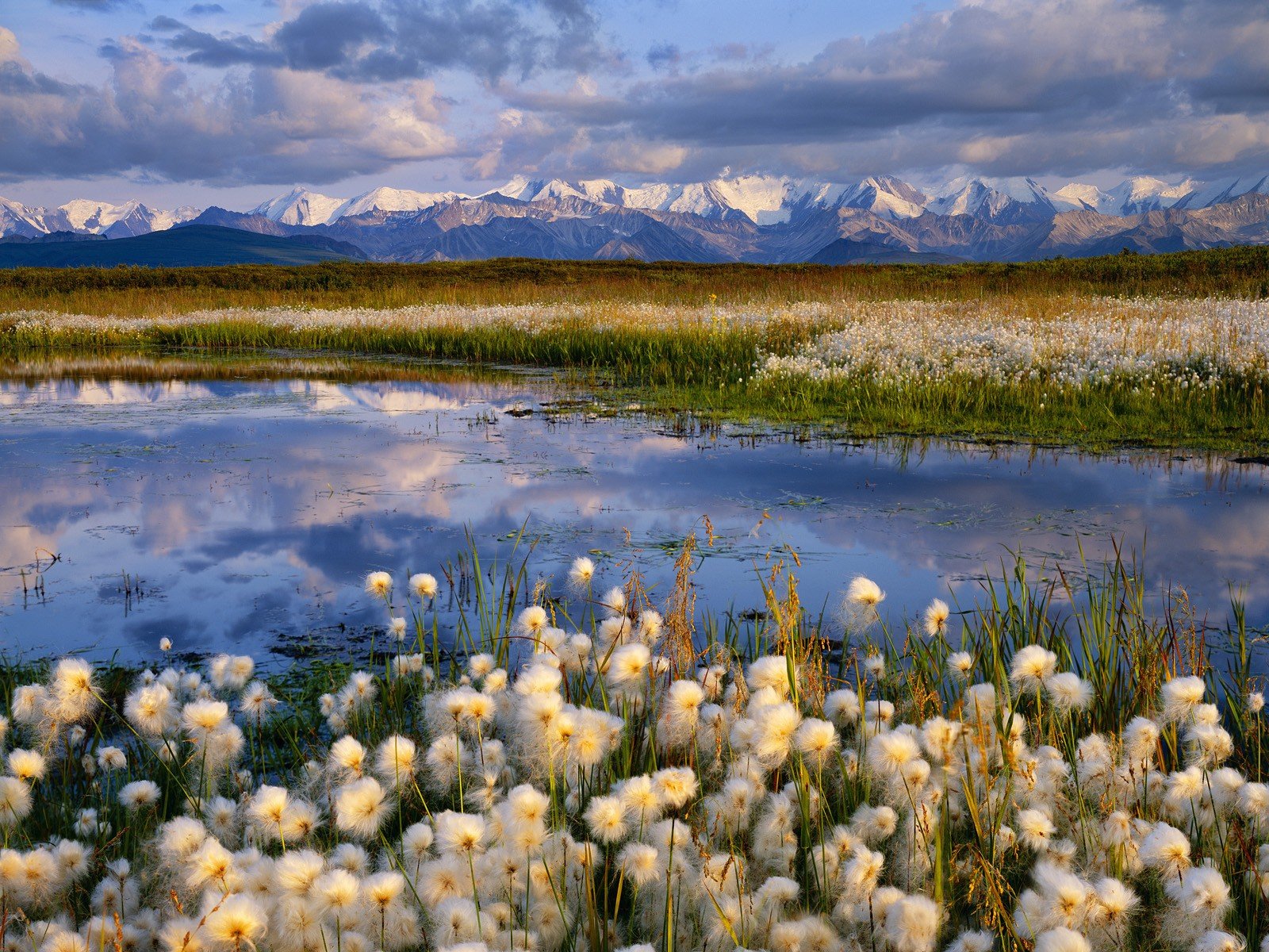 Landscapes Nature Alaska National Park Wallpaper Background