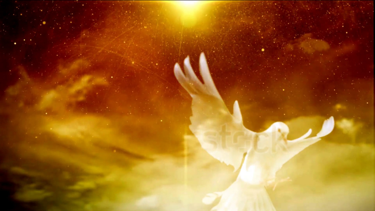 Holy Spirit In A Form Of Dove Video Background Loop 1080p Full