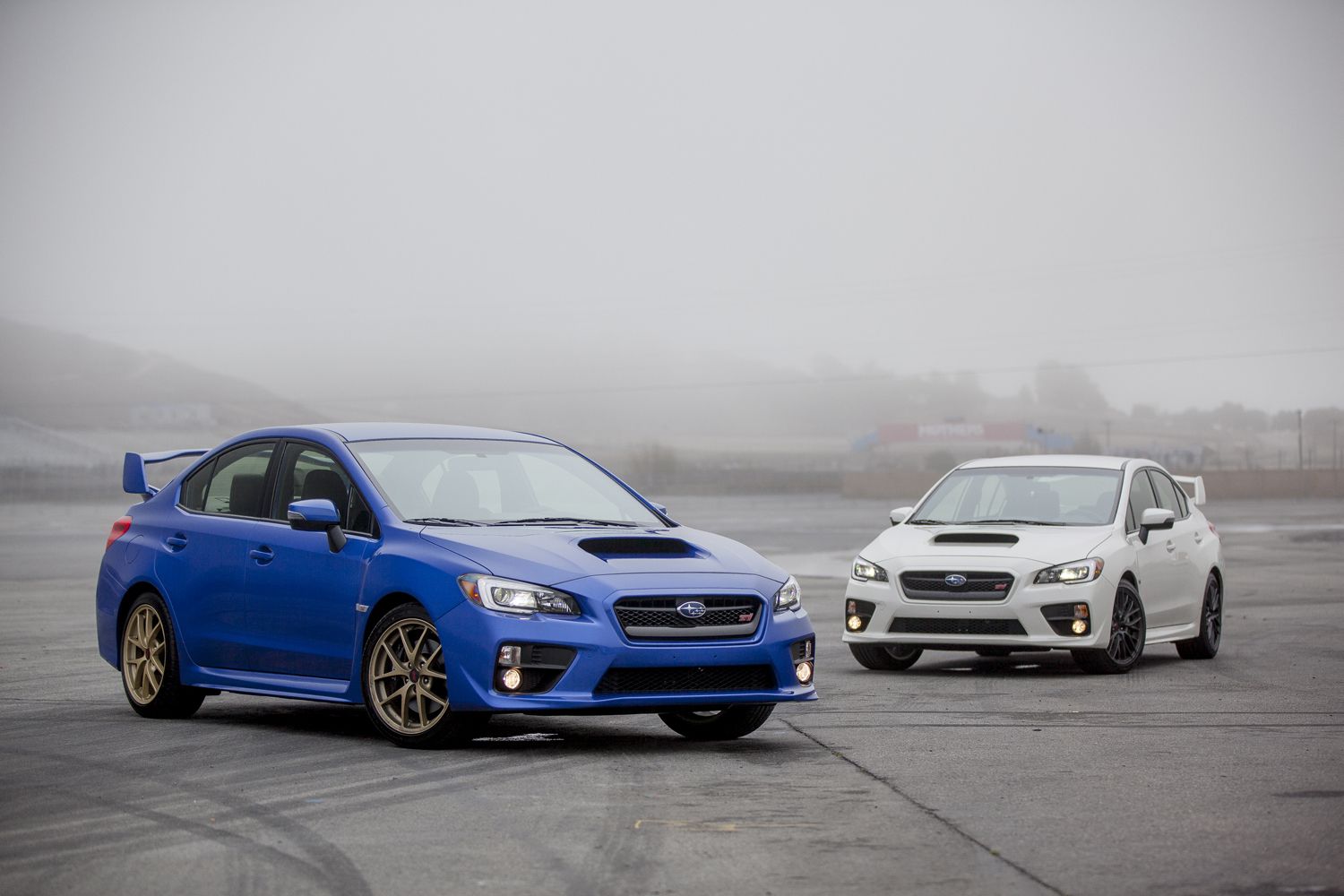 Subaru Wrx Sti Blue Foreground White Background Photo